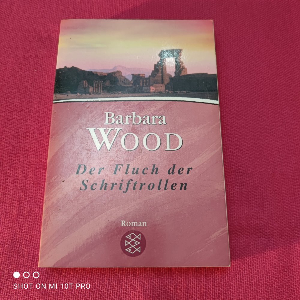 Der Fluch der Schriftrollen - Barbara Wood