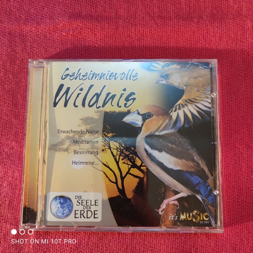 Geheimnisvolle Wildnis