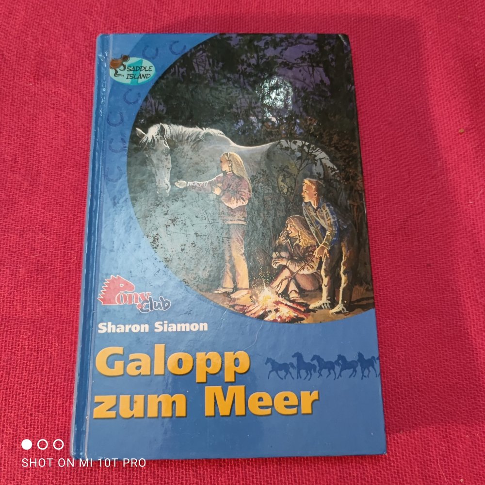 Pony Club - Galopp zum Meer - Sharon Siamon