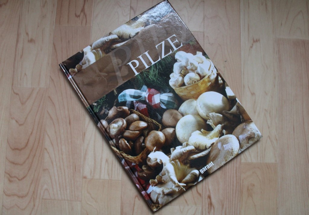 Pilze