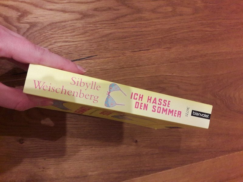 Buch Roman Ich hasse den Sommer von Sibylle Weischenberg