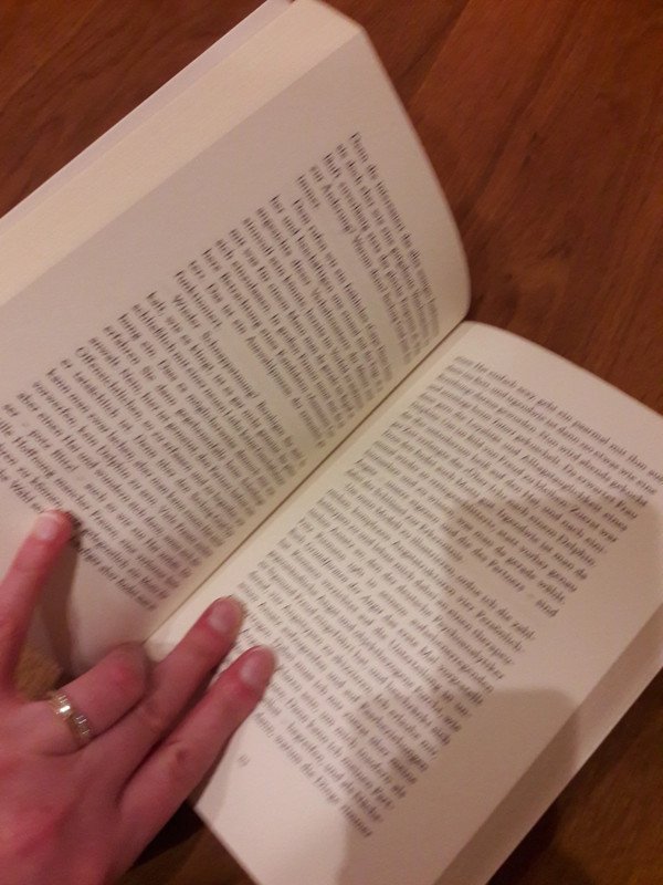 Buch der letzte Scheißkerl von Roman Maria Koidl