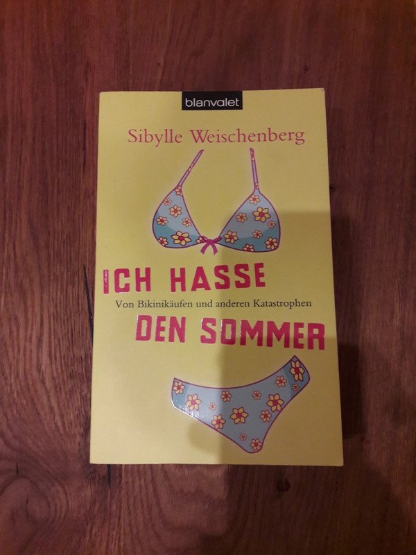 Buch Roman Ich hasse den Sommer von Sibylle Weischenberg