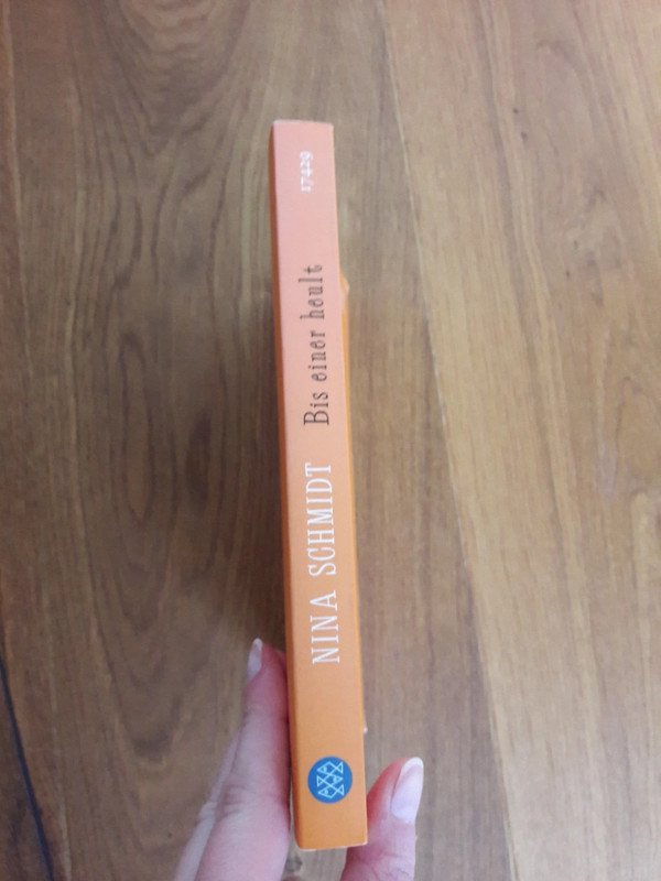 Roman Bis einer heult von Nina Schmidt