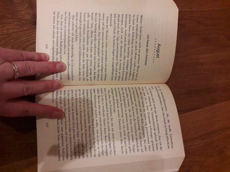 Buch Roman Ich hasse den Sommer von Sibylle Weischenberg