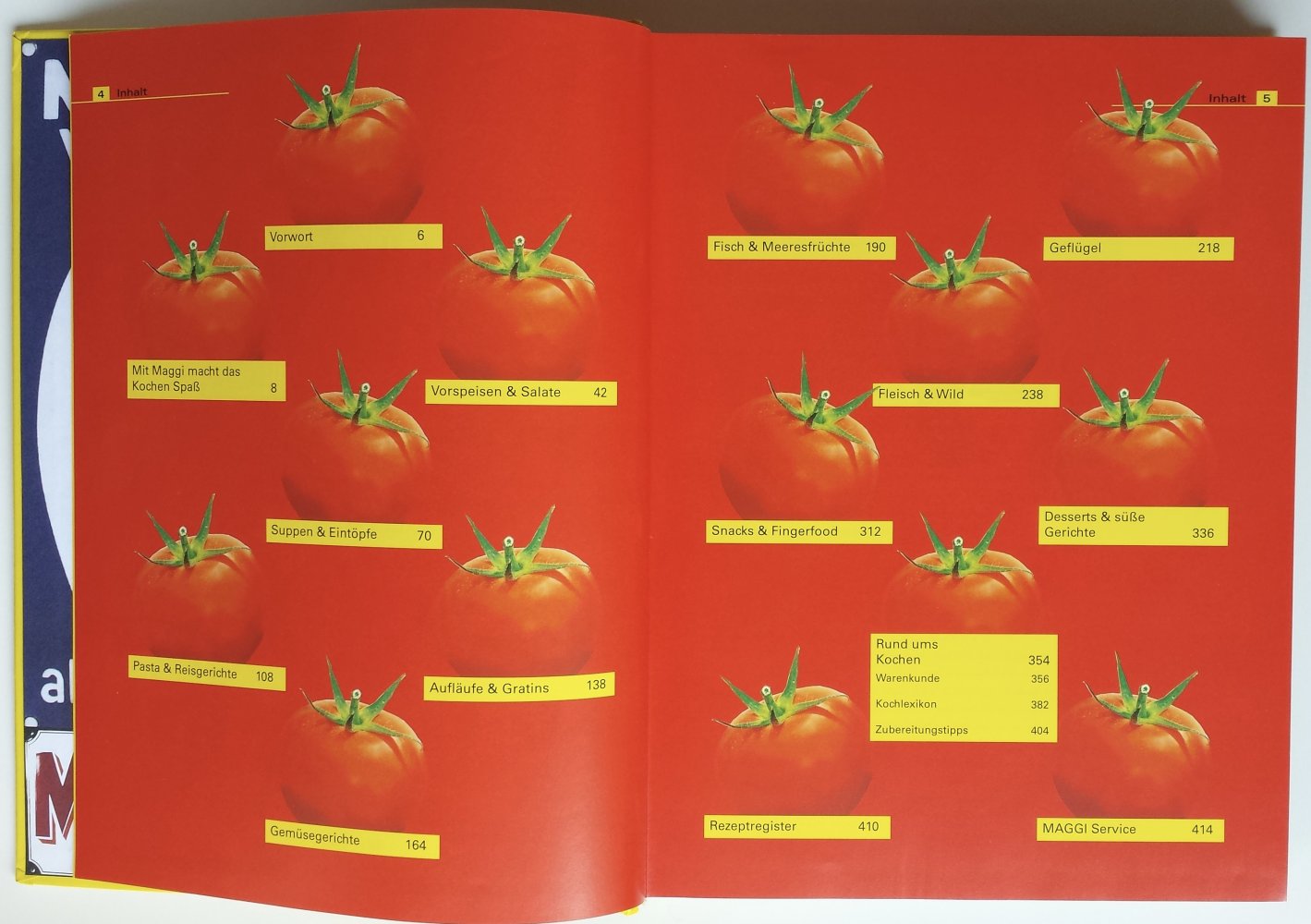 Kochbuch Maggi Kochstudio viele Bilder Rezeptbuch Dessert Reis Buch Kochen Rezepte