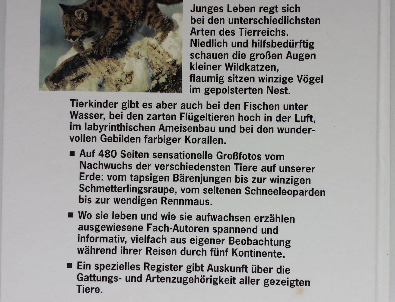 Kinderlexikon Tierkinder Nachwuchs in der Tierwelt Kinderbuch Lexika Lexikon Kind Kinder Tiere Wissen lesen Bilder 
