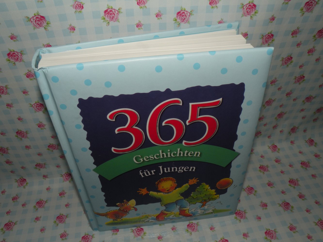 Buch 365 Geschichten für Jungen top Zustand wie neu