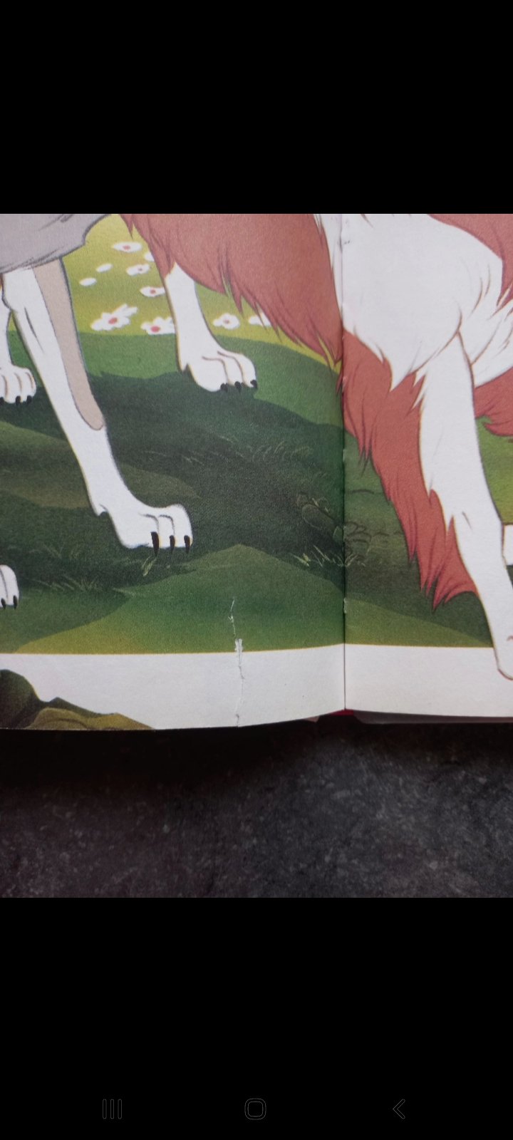 Wolfsblut