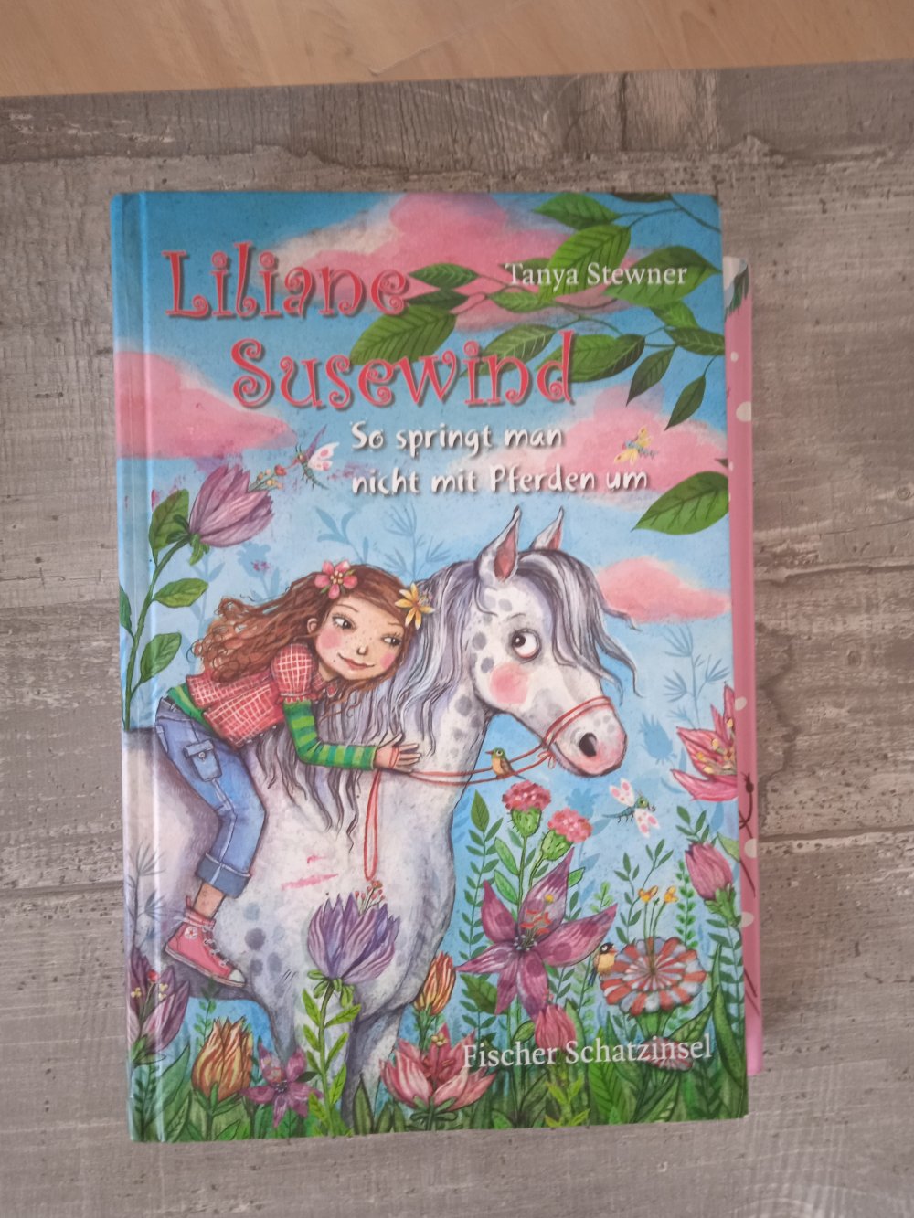 Liliane susewind Buch neuwertig 