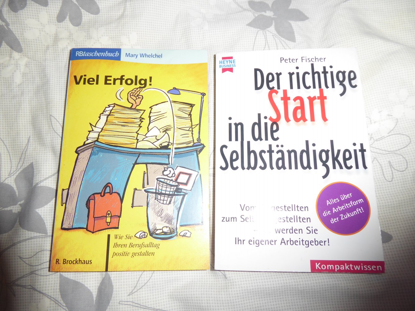 2 x Buch Start in die Selbständigkeit beruflicher ERfolg erfolgreich im Beruf Berufsalltag 
