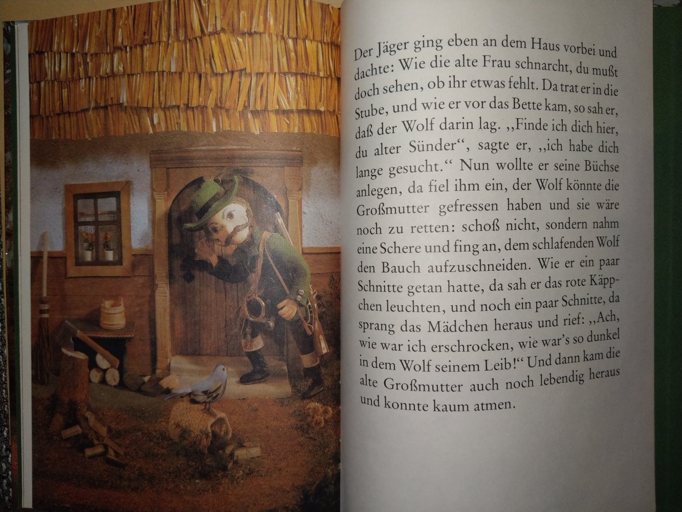 Buch 