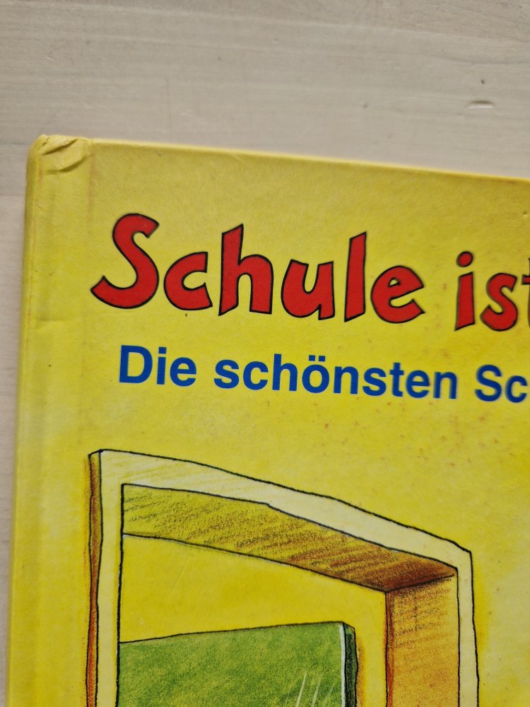 Schule ist Klasse! - Die schönsten Schulgeschichten 