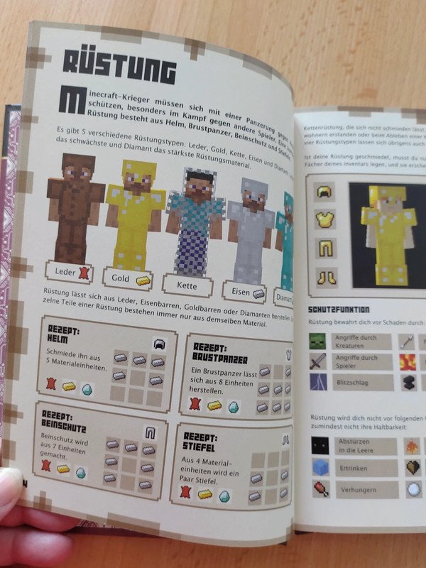 Minecraft Das Kämpfer-Handbuch