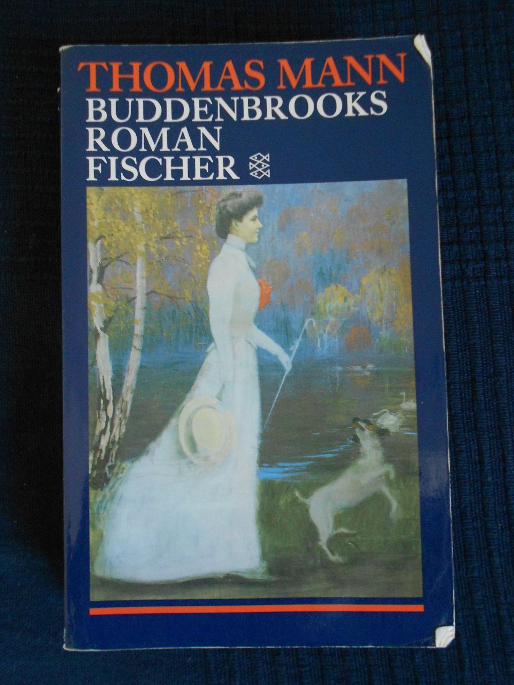 Taschenbuch Buddenbrooks - Thomas Mann