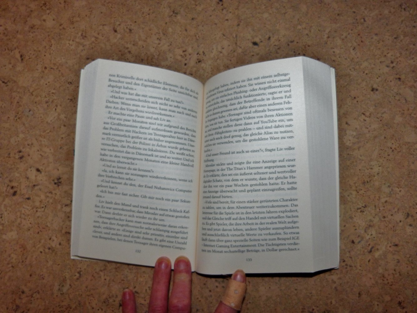 Taschenbuch Sündenspiel von Therese Philipsen, sehr gut