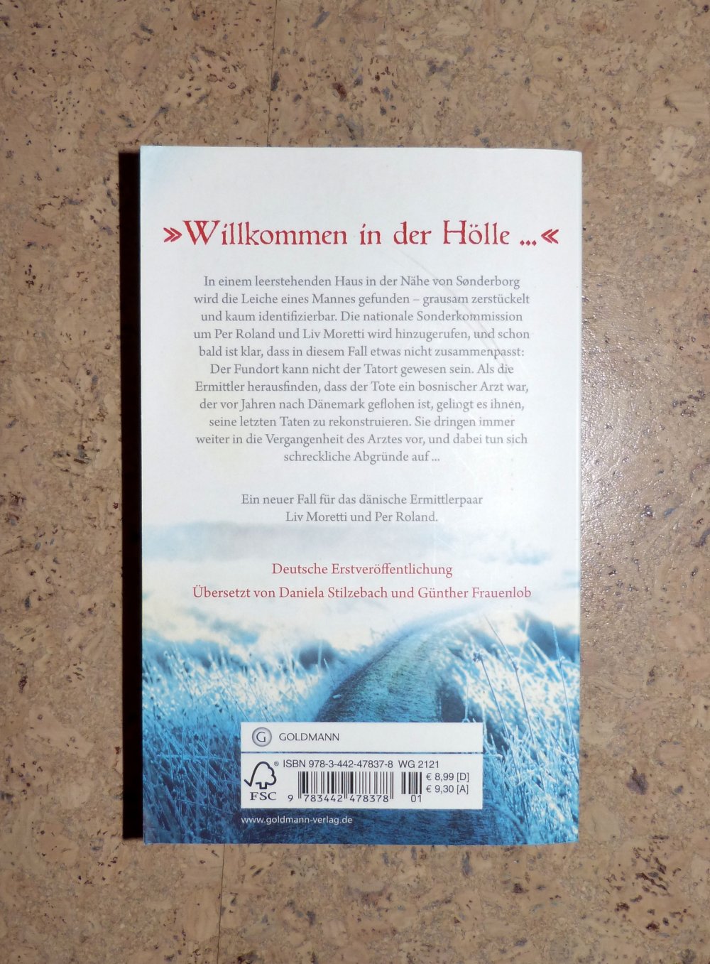 Taschenbuch Sündenspiel von Therese Philipsen, sehr gut