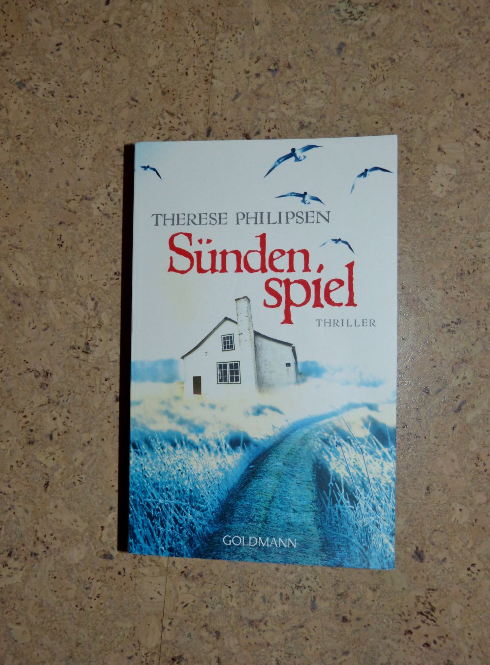 Taschenbuch Sündenspiel von Therese Philipsen, sehr gut