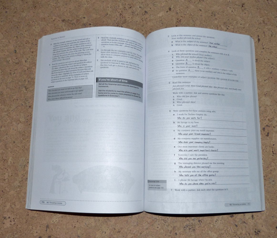 In company, Elementary Teacher's Book, MacMillan, neuwertig