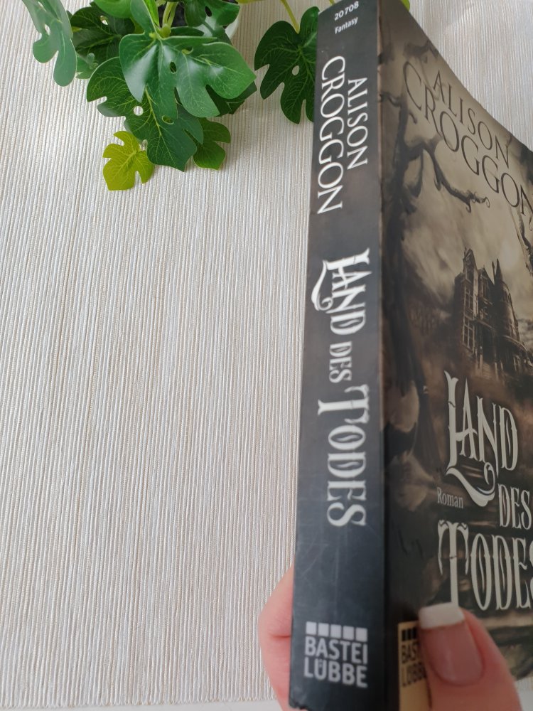 Buch: Land des Todes - Alison Croggon 
