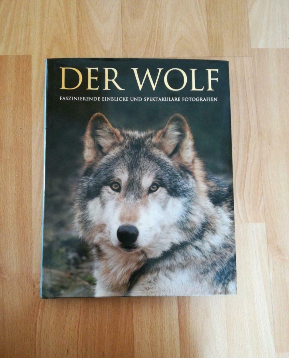 Der Wolf Bildband & Sachbuch 