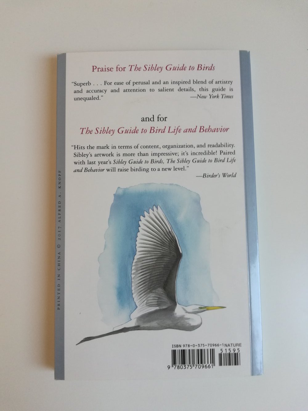 Sibley's Birding Basics / Sachbuch Ornithologie