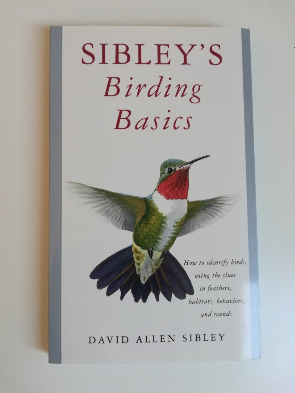 Sibley's Birding Basics / Sachbuch Ornithologie