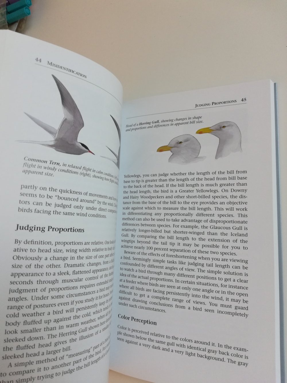 Sibley's Birding Basics / Sachbuch Ornithologie