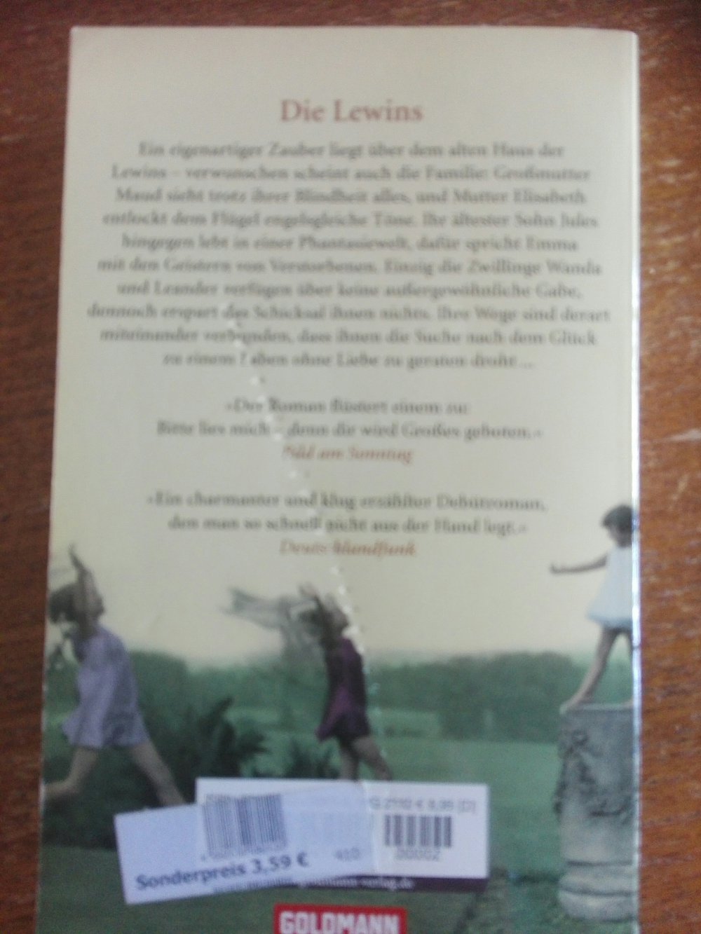 Die Lewins Roman