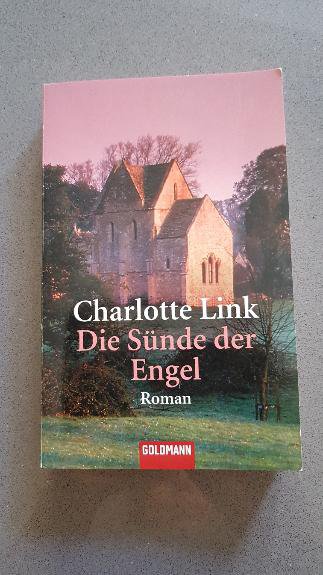 Charlotte Link - Die Sünde der Engel