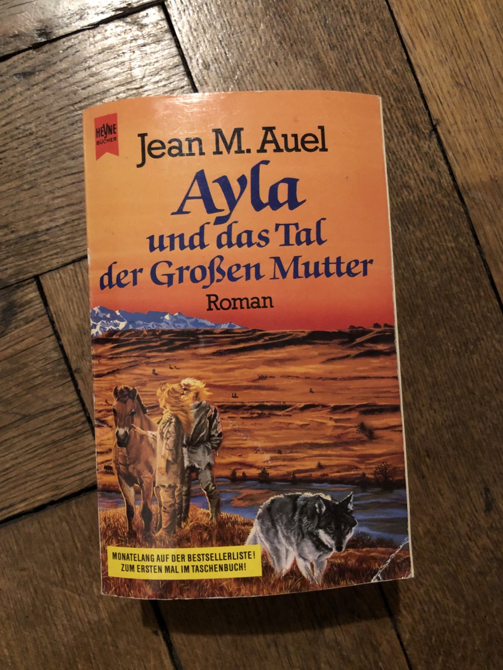 Ayla und das Tal der Großen Mutter 