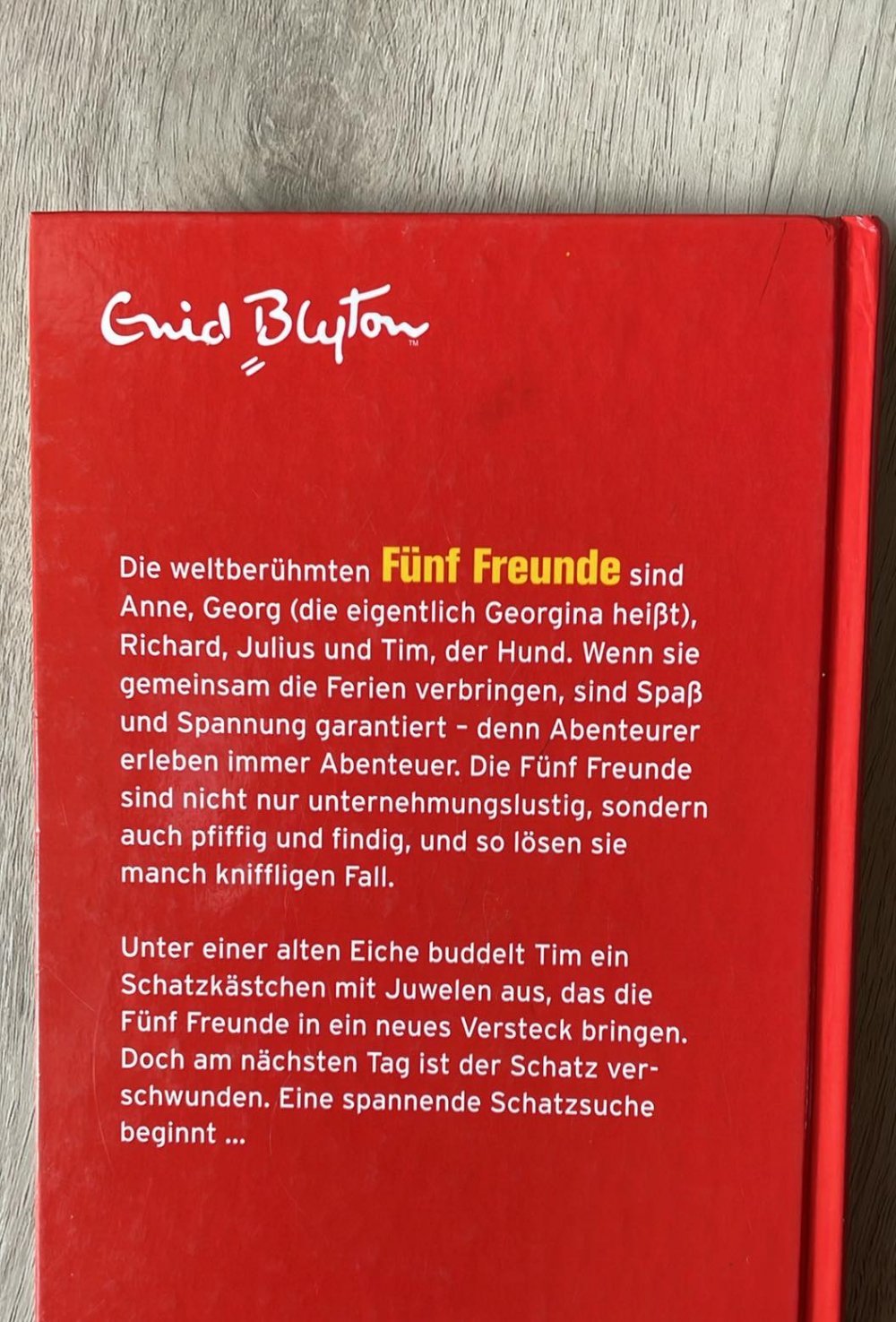 Fünf Freunde und die geheimnisvolle Schatztruhe 