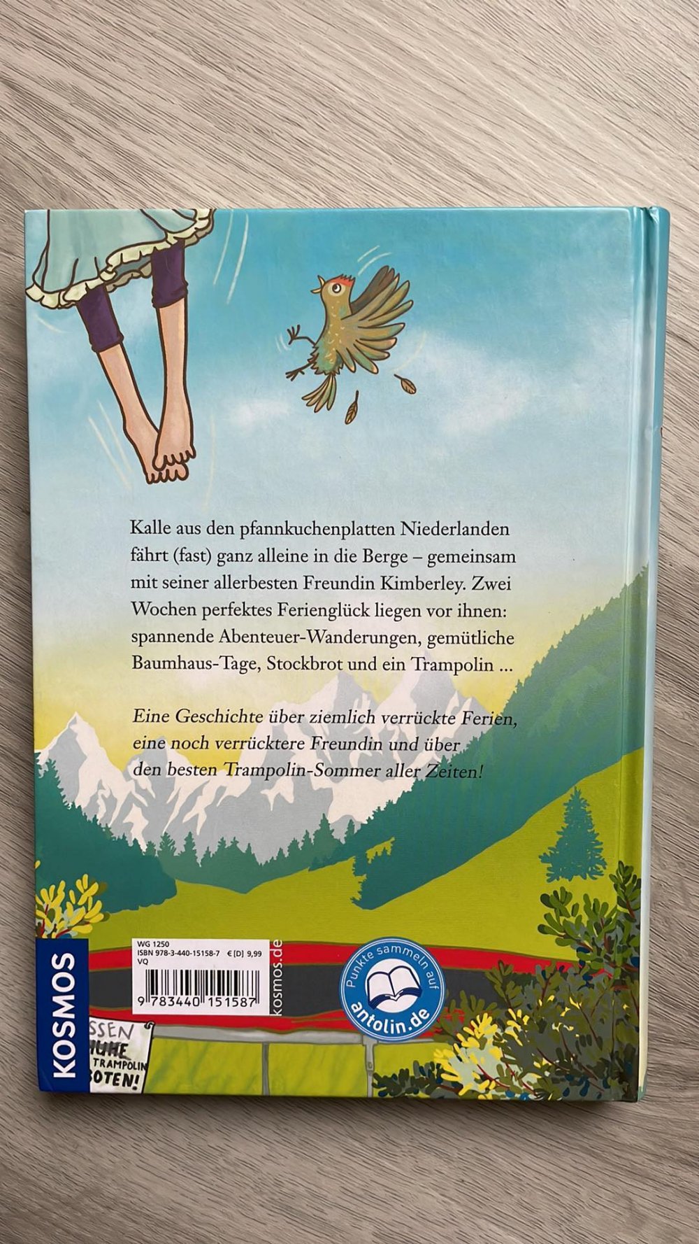 Trampolin Sommer 