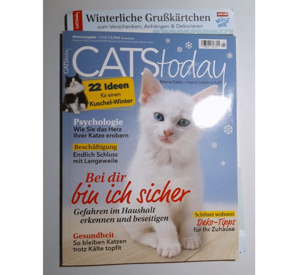 Cats Today Katzen Kitten Magazin Zeitschrift 