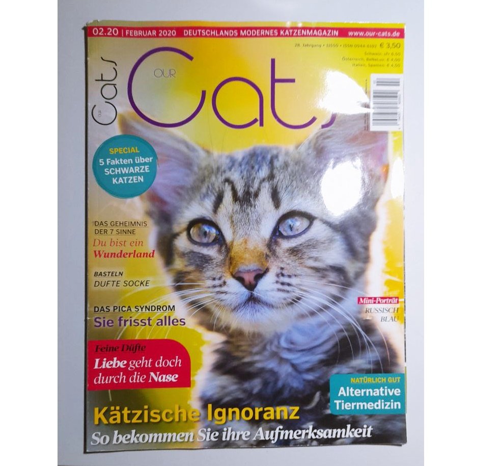 Our Cats Katzen Zeitschrift
