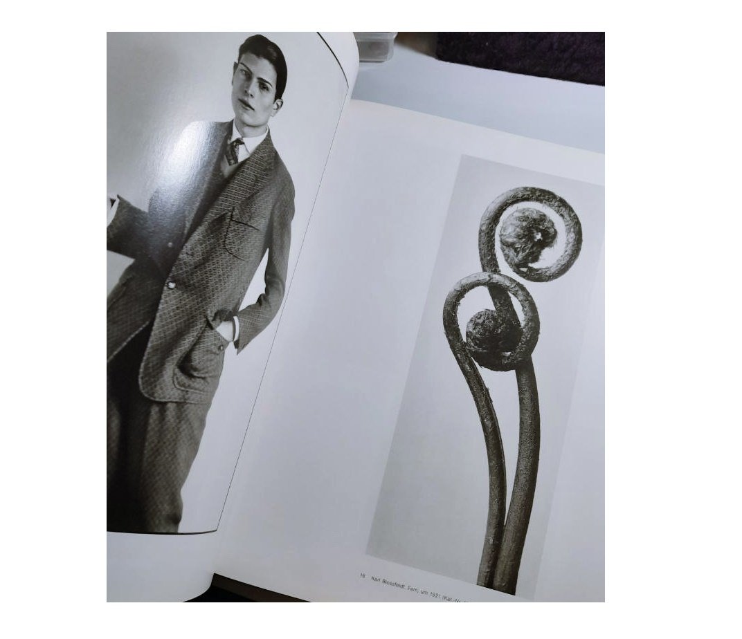 Deutsche Fotografie Macht eines Mediums Buch