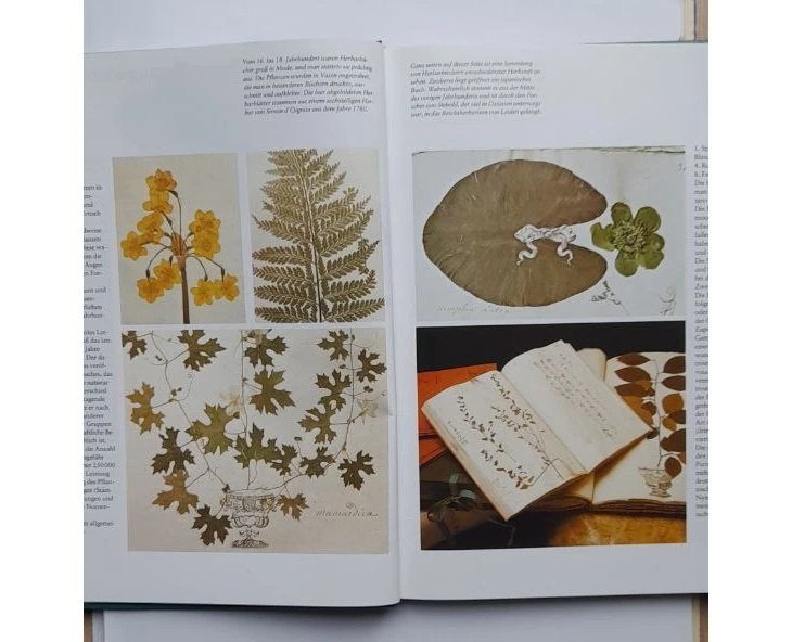 Handbuch der Trockenblumen Bastelbuch