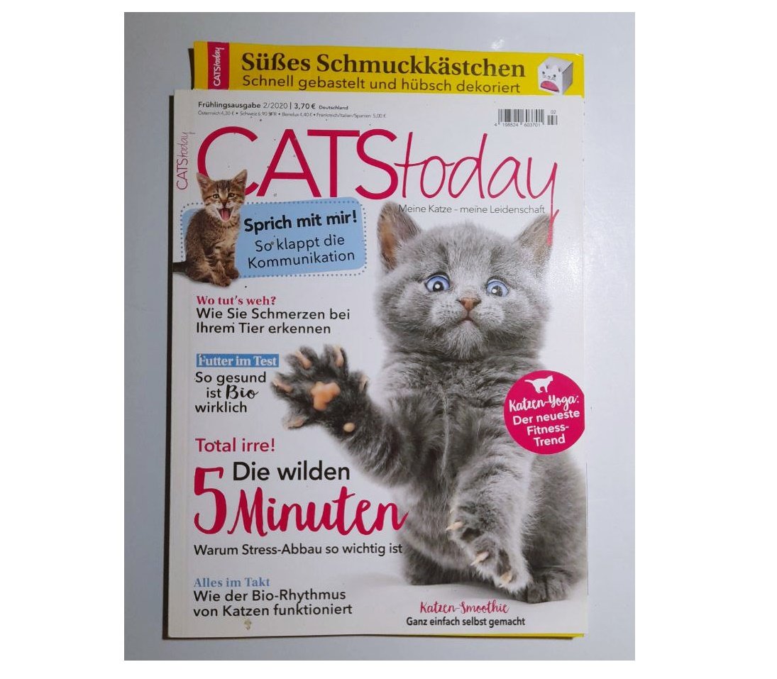 Cats Today Katzen Kitten Magazin Zeitschrift 