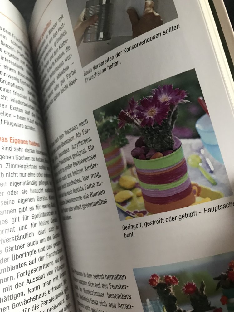 Zimmerpflanzen Klassiker und Neuheiten mit Sonderteil Orchideen Softcover Taschenbuch 