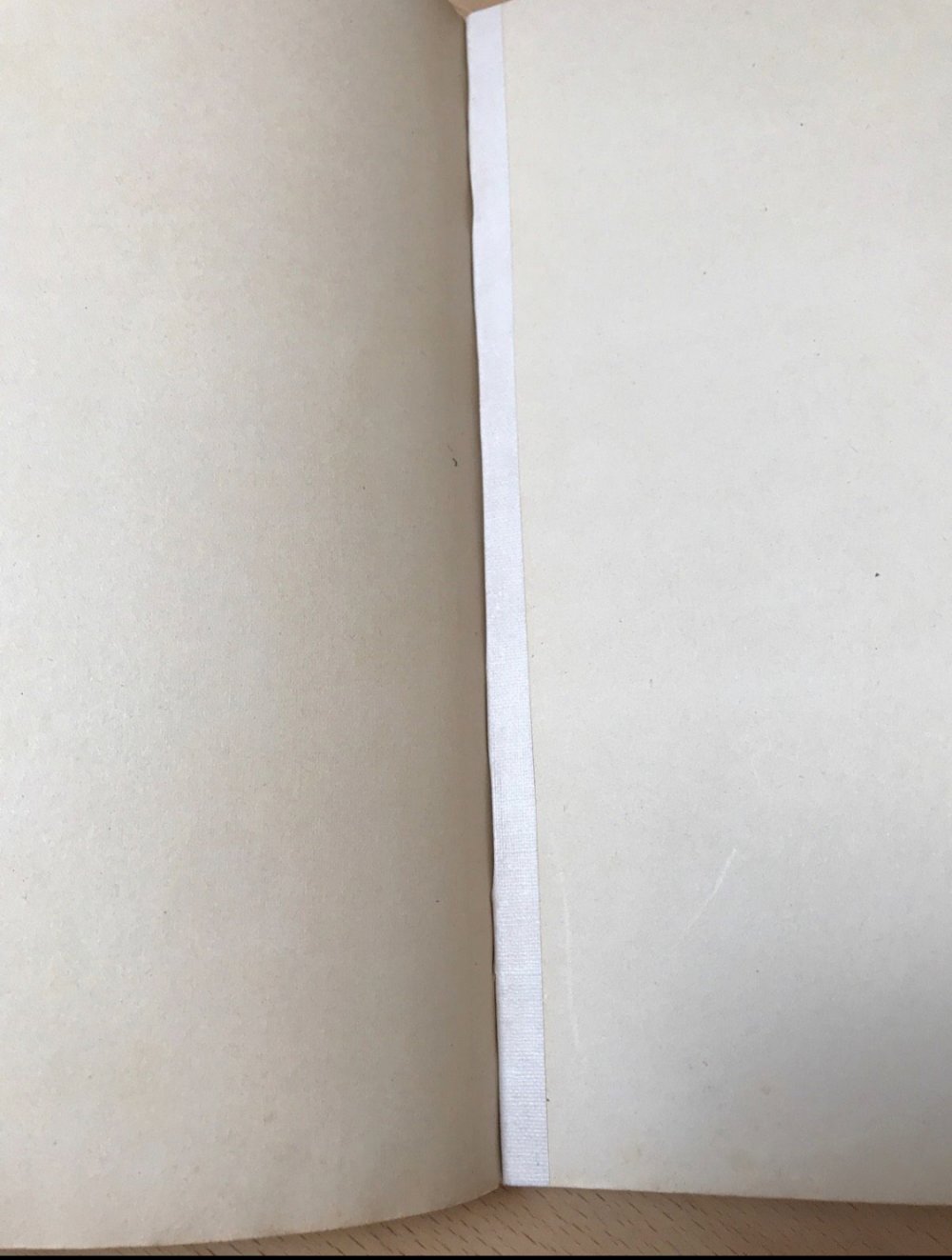 Vintage Kinderbuch Geschichten Wilhelm Busch Dr. Heinrich Hoffmann Nostalgie Hardcover Altdeutsche Schrift Struwwelpeter u.a. 
