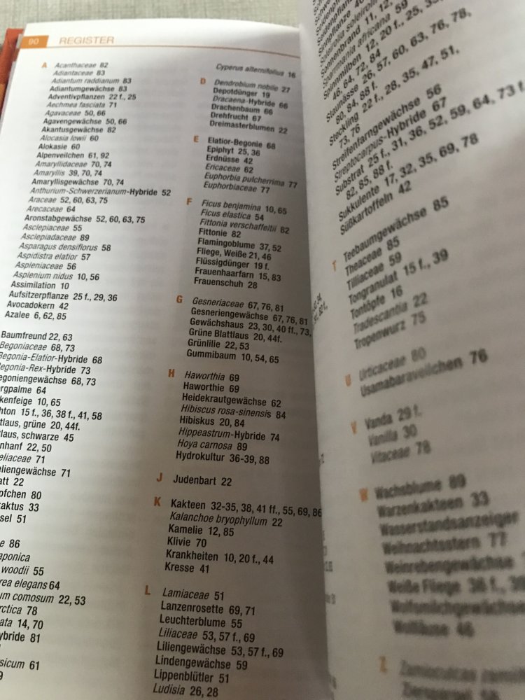 Zimmerpflanzen Klassiker und Neuheiten mit Sonderteil Orchideen Softcover Taschenbuch 