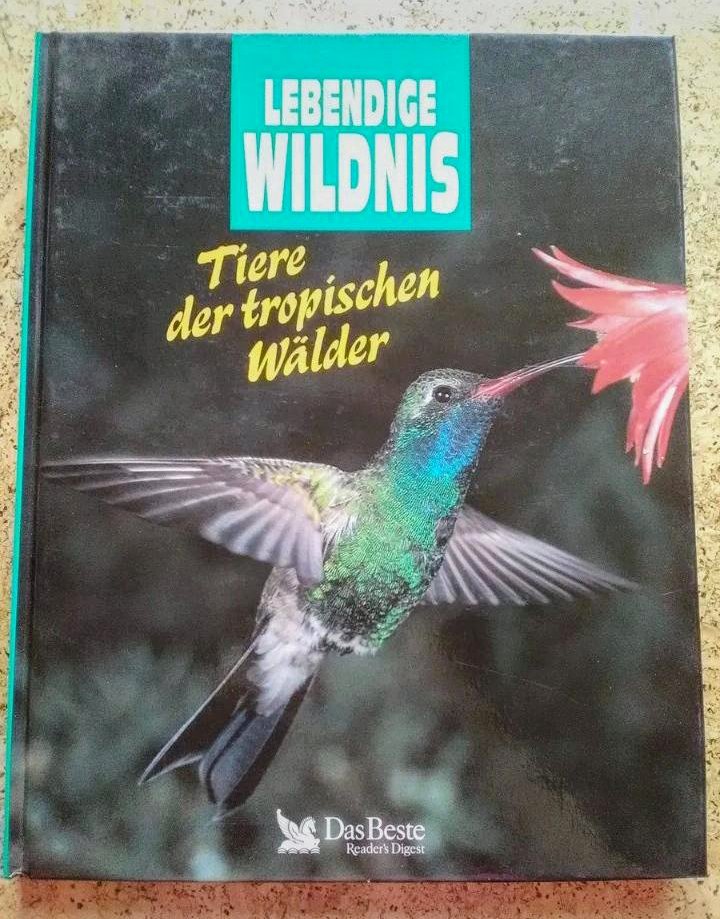 Bildband