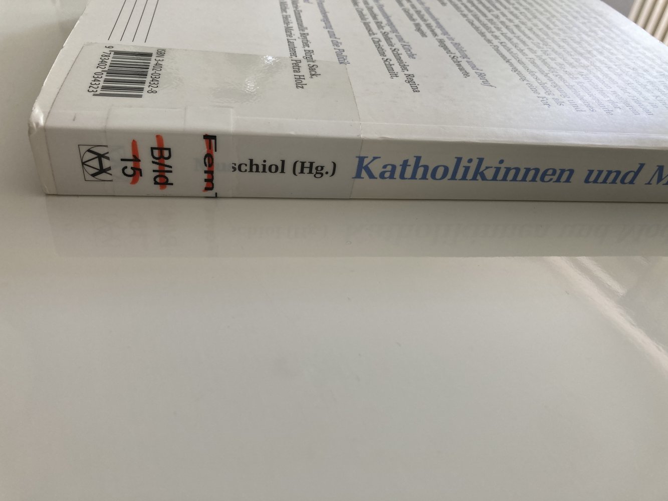 Katholikinnen der Moderne