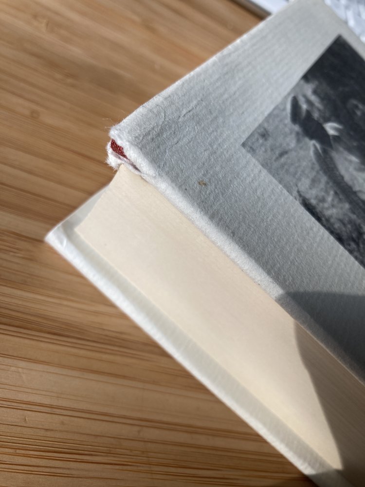 Pfauenschrei – Die Jahre mit HAP Grieshaber