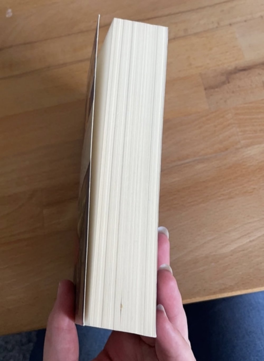 Buch die Tochter des Bischofs