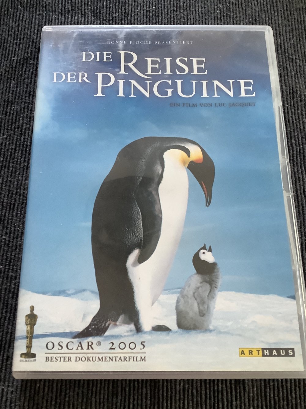 Diverse DVD‘s Konvolut an Kinder DVD‘s