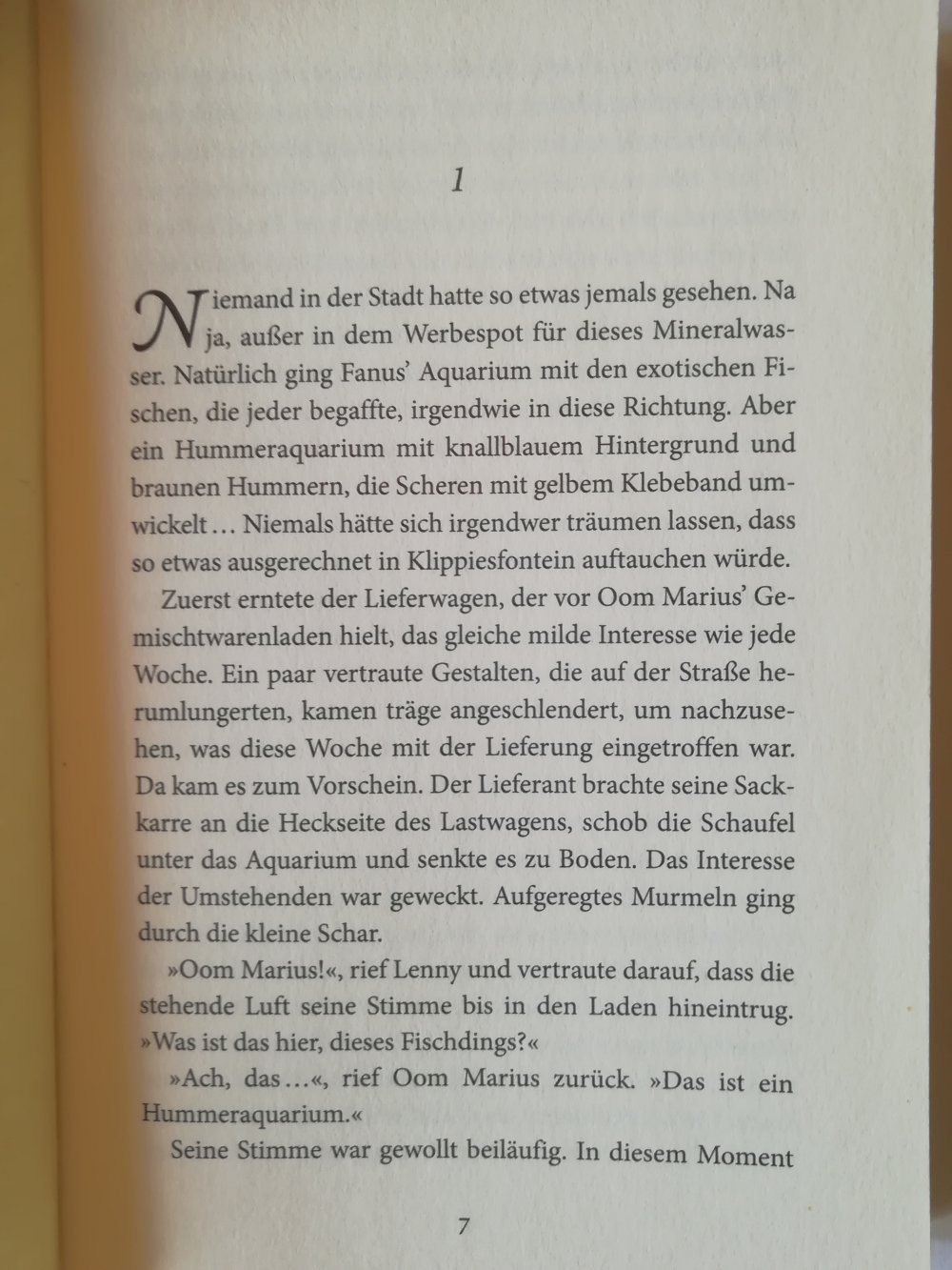 Der Tag, an dem die Hummer schwimmen lernten
