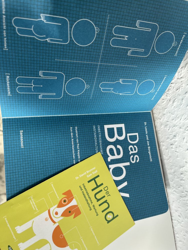 Das Baby - Inbetriebnahme, Wartung und Instandhaltung - Buch