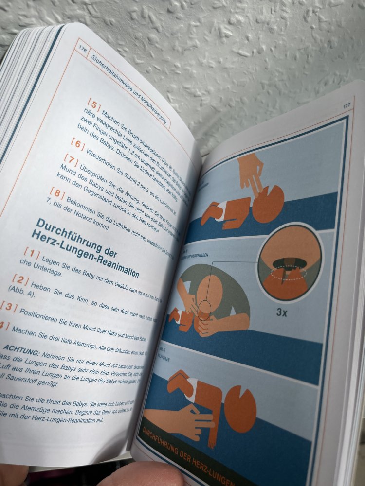Das Baby - Inbetriebnahme, Wartung und Instandhaltung - Buch