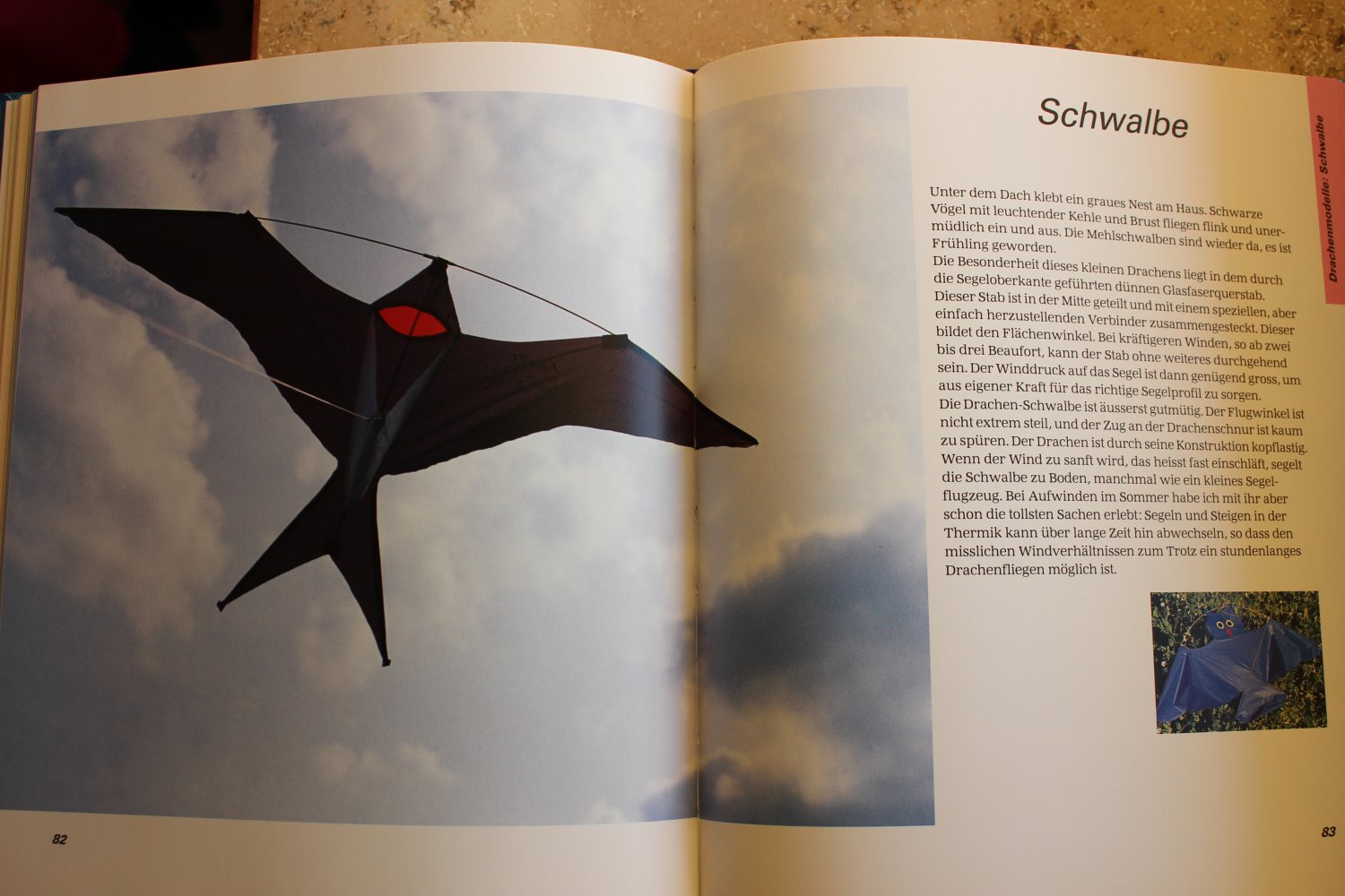 Drachen - Spiele mit dem Wind, Rainer Neuner